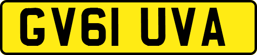 GV61UVA