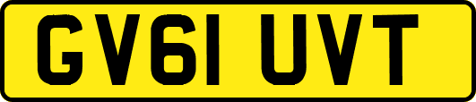 GV61UVT