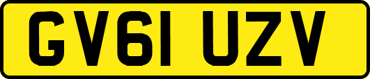 GV61UZV
