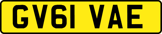 GV61VAE