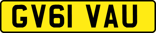 GV61VAU