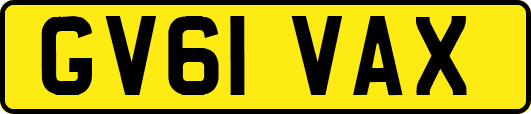 GV61VAX