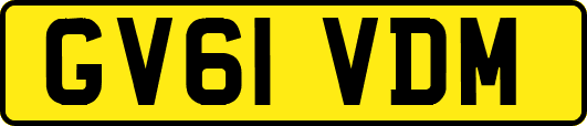 GV61VDM