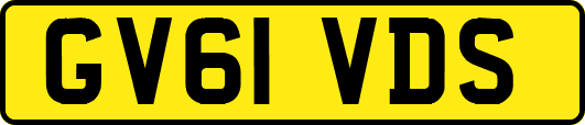 GV61VDS