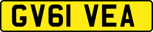 GV61VEA