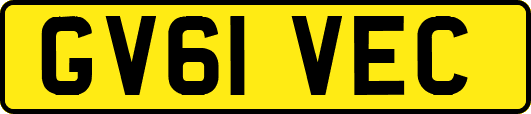 GV61VEC