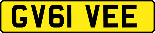 GV61VEE
