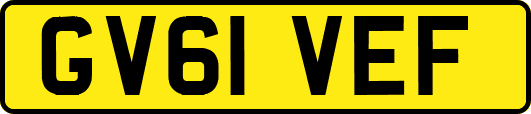 GV61VEF