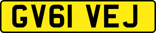 GV61VEJ