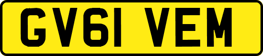 GV61VEM