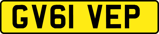 GV61VEP