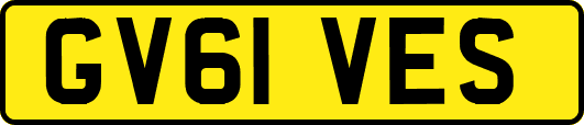 GV61VES