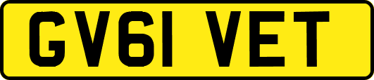 GV61VET