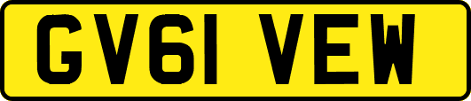 GV61VEW