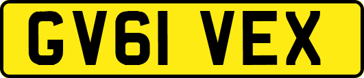 GV61VEX