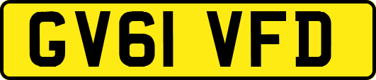 GV61VFD