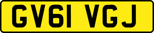 GV61VGJ