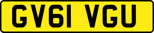 GV61VGU