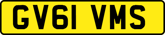 GV61VMS