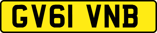 GV61VNB