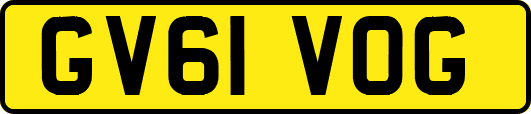 GV61VOG