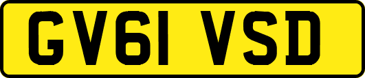 GV61VSD