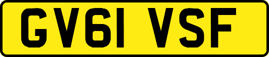 GV61VSF