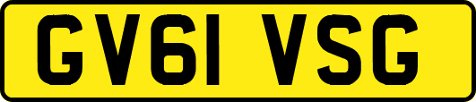 GV61VSG