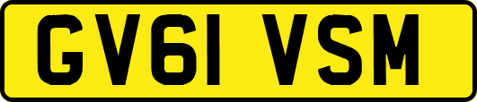 GV61VSM
