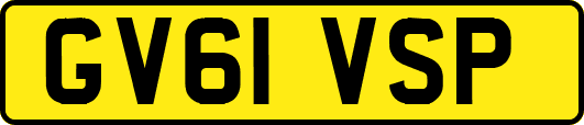 GV61VSP