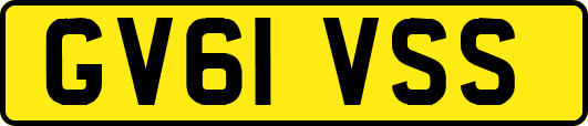 GV61VSS