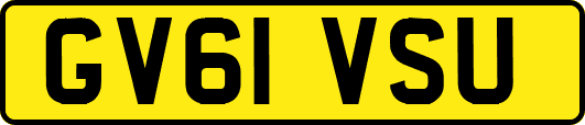 GV61VSU