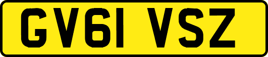 GV61VSZ