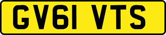 GV61VTS