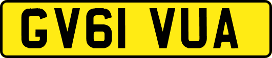 GV61VUA