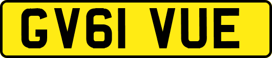 GV61VUE