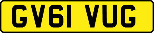 GV61VUG