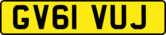 GV61VUJ