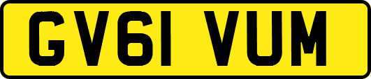 GV61VUM