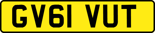 GV61VUT