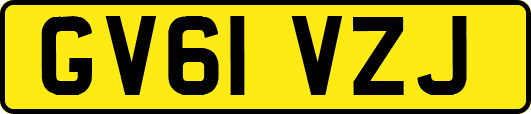 GV61VZJ