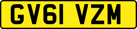 GV61VZM
