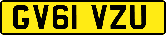 GV61VZU