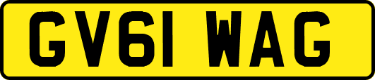 GV61WAG