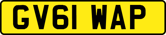 GV61WAP