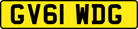 GV61WDG