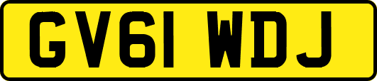 GV61WDJ