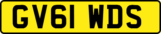 GV61WDS