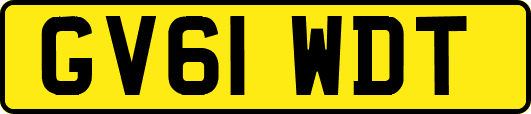 GV61WDT