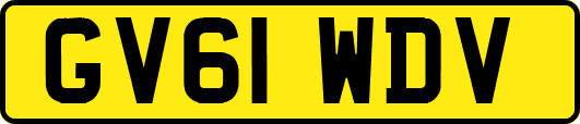 GV61WDV